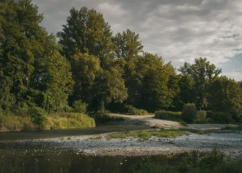 How Can Getting The Creek Out Asus Laptop?