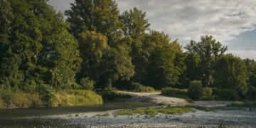 How Can Getting The Creek Out Asus Laptop?