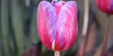 How Do I Delete Bloatware On Asus Laptop?