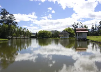 How Do I Remove Bloated Apps On Asus VivoBook?