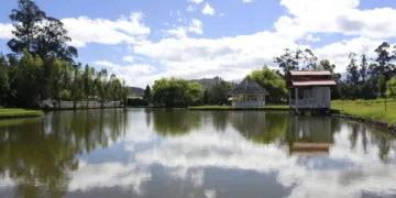 How Do I Remove Bloated Apps On Asus VivoBook?