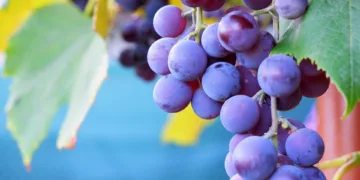 How To Increase Upload For Asus RT AX82U Router?