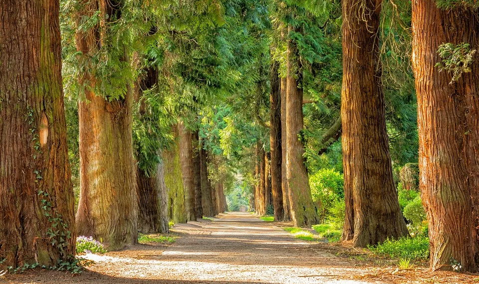 How to Craft the Miracle Silvergale’s Aria Outfit in Infinity Nikki