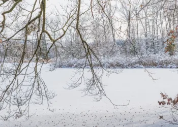 How to Get the Mermaid Pendant in Stardew Valley: A Step-by-Step Guide