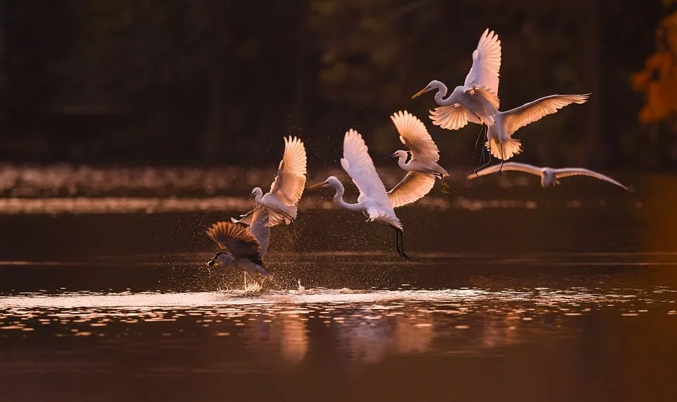 How to Obtain a Prismatic Shard in Stardew Valley: A Complete Guide