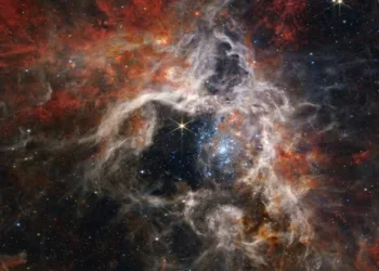 Hubble Captures Stunning Image Of The Tarantula Nebula