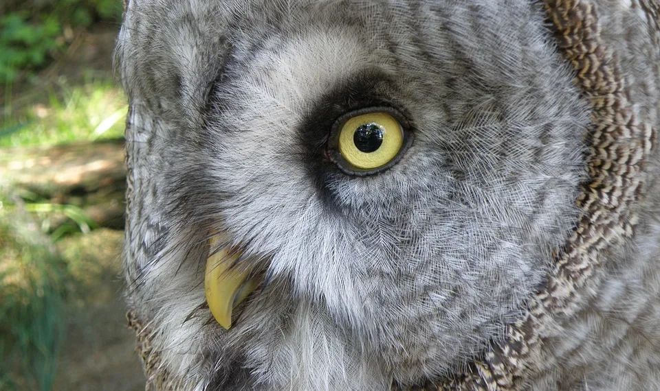 Is Asus ROG Strix G18 Bad?