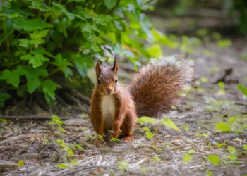 James Cameron Shares Insights on 'Avatar 3'