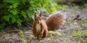 James Cameron Shares Insights on 'Avatar 3'