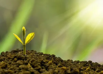 Selena Gomez Breaks Down in Viral Video Over Immigration Issues