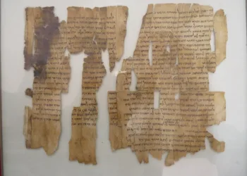 Why Canʼt I Scroll On Asus Website?