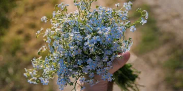 Why Not Change Background Asus Laptop?