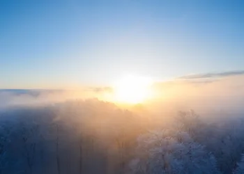 Why Tom Holland Avoids Red Carpets with Zendaya