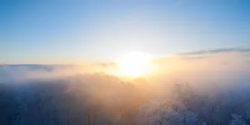 Why Tom Holland Avoids Red Carpets with Zendaya