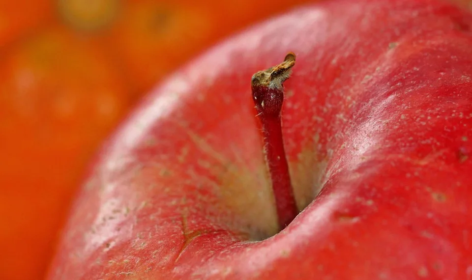 apple 1081105 960 720.jpg