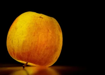 apple 195628 960 720.jpg