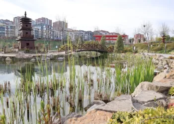 aquarium 5056868 960 720.jpg