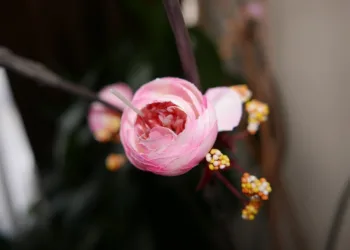 artificial flower 5052779 960 720.jpg