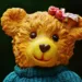 bears 993222 960 720.jpg
