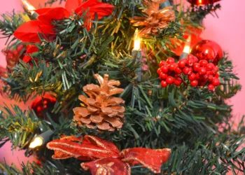 christmas 1904528 960 720.jpg