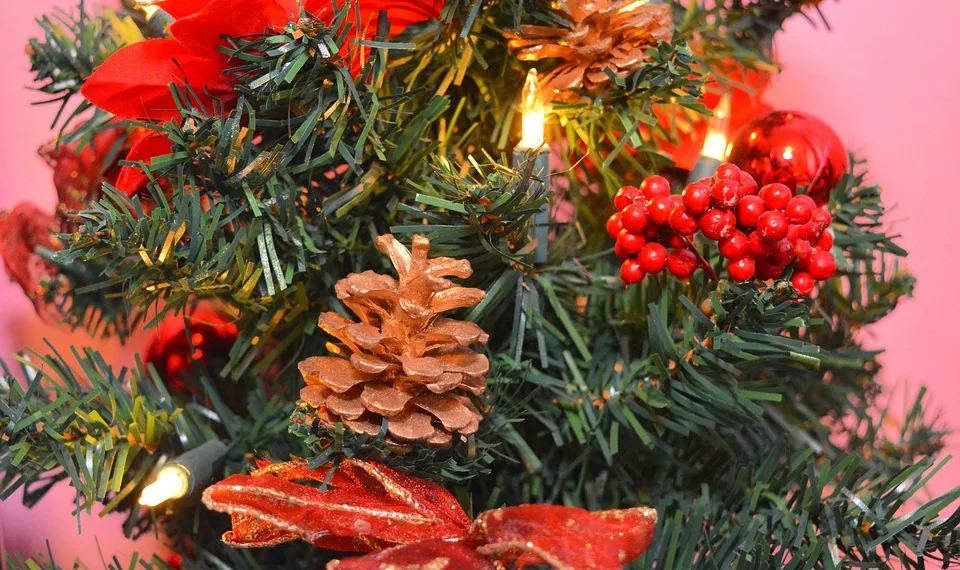 christmas 1904528 960 720.jpg