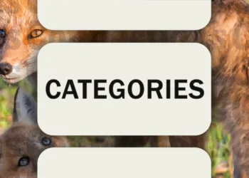 Connections Puzzle #592: Hints & Solutions for Jan 23, 2025