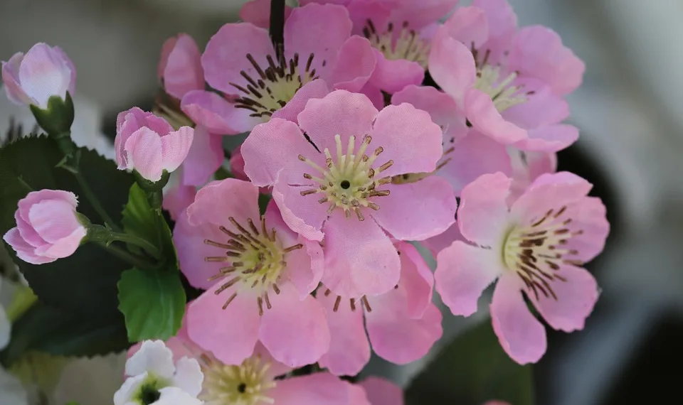 fabric flowers 5101030 960 720.jpg