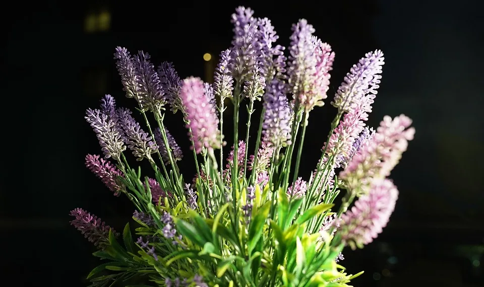 flowers 6463878 960 720.jpg