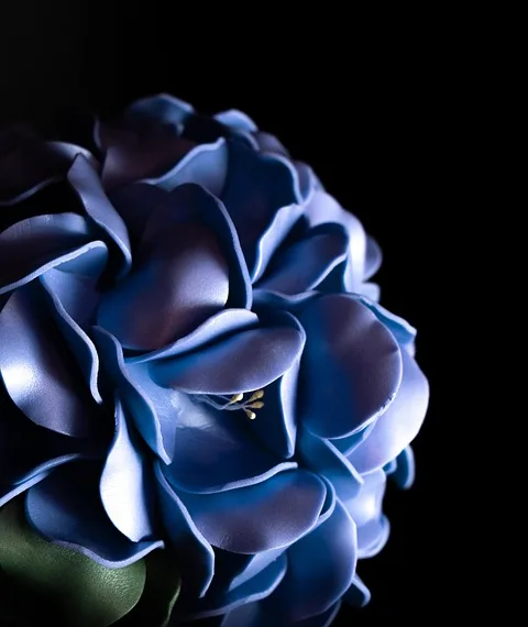 flowers 7018433 960 720.jpg