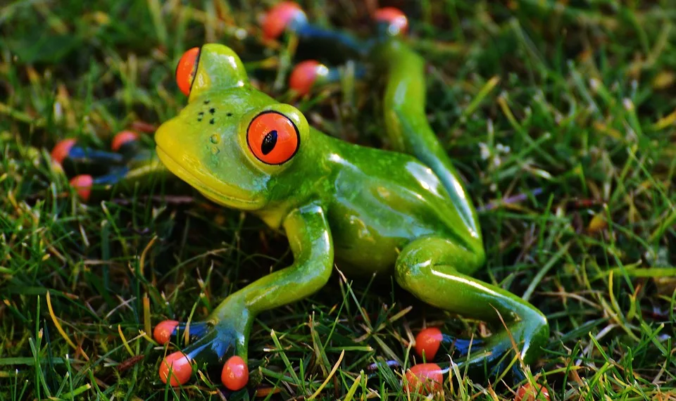 frog 1109771 960 720.jpg