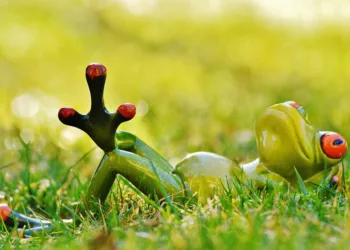 frog 1109795 960 720.jpg