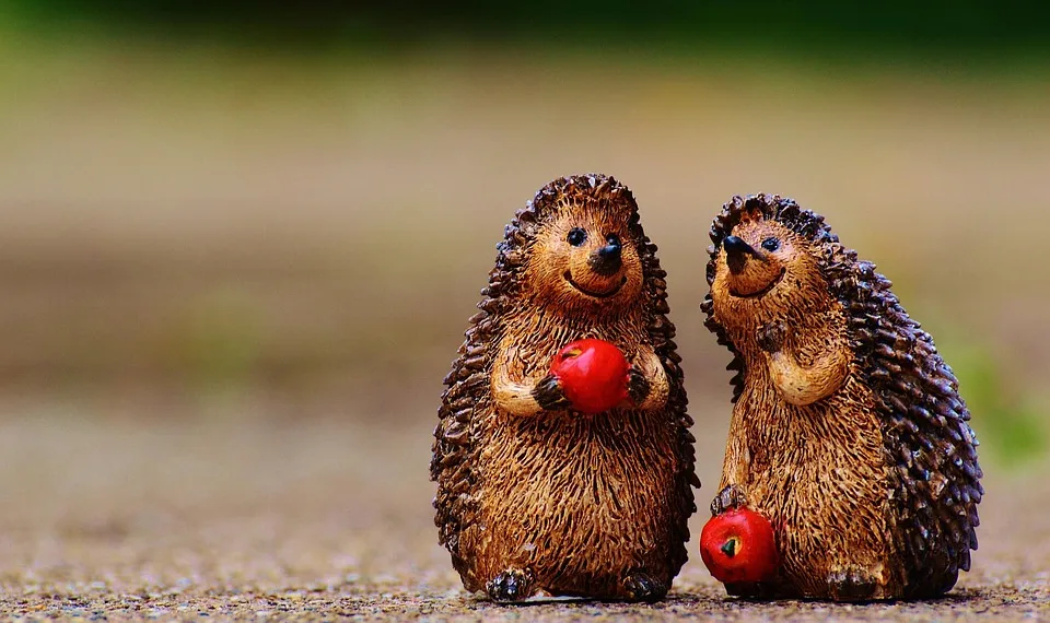 hedgehog 982698 960 720.jpg