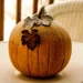 pumpkin 284004 960 720.jpg