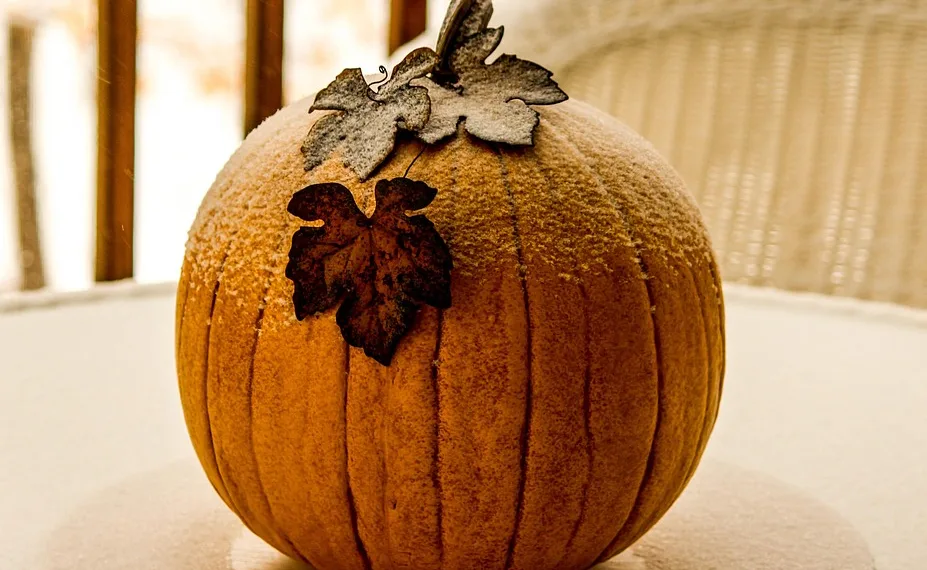 pumpkin 284004 960 720.jpg