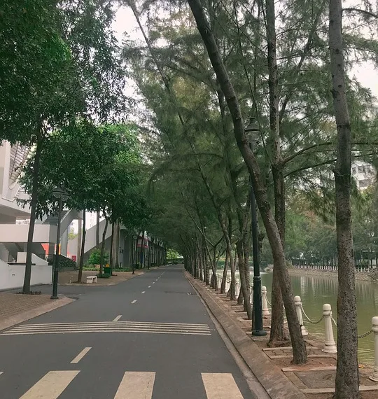 road 5982667 960 720.jpg