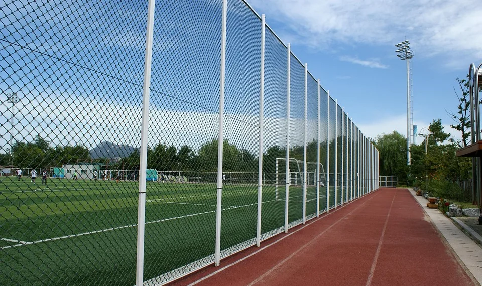 sport 2620597 960 720.jpg