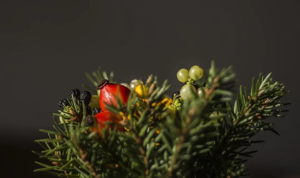 tree 2599473 960 720.jpg