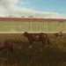 Ultimate Guide to Water Buffalo in Farming Simulator 25