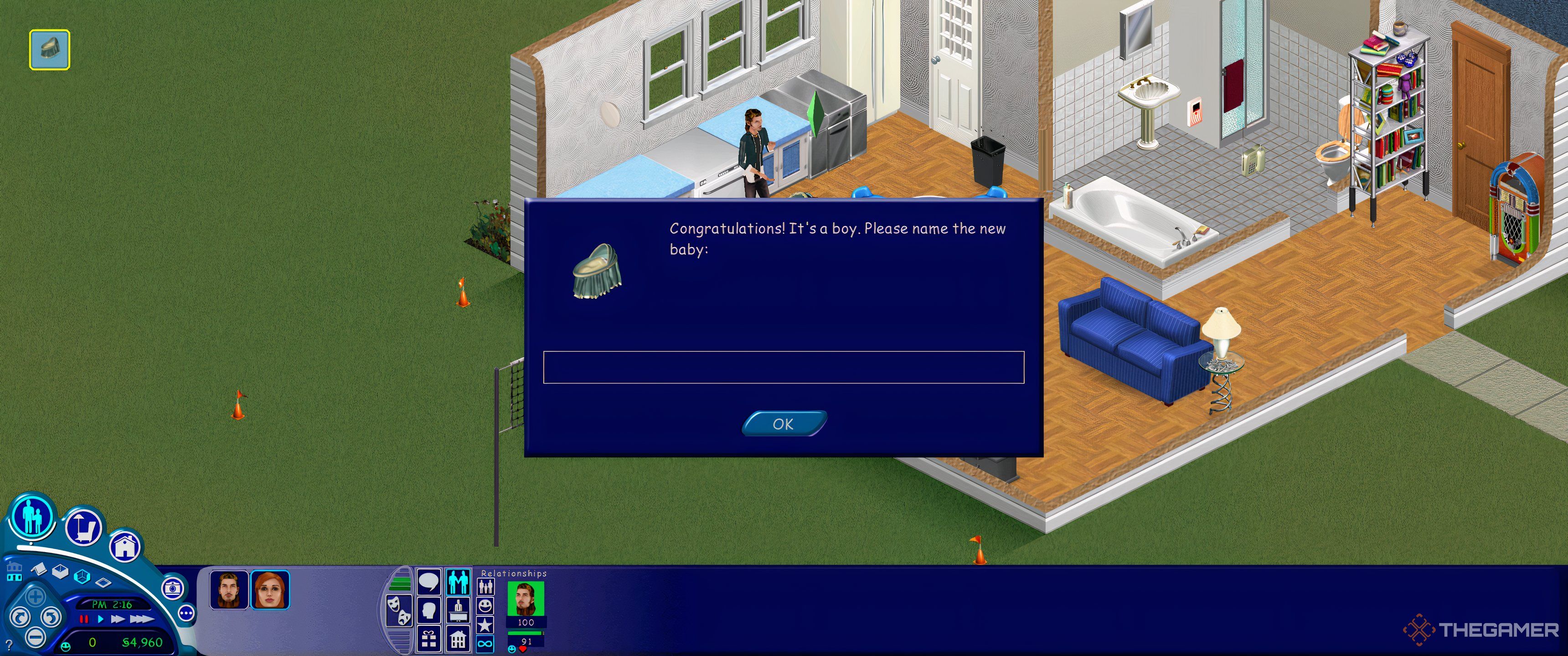 Dialogue box for naming your baby in The Sims 1.