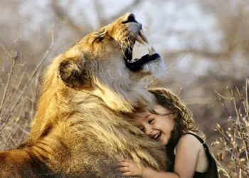 Ed Sheeran Takes Auto Ride in Hyderabad, Visits Charminar