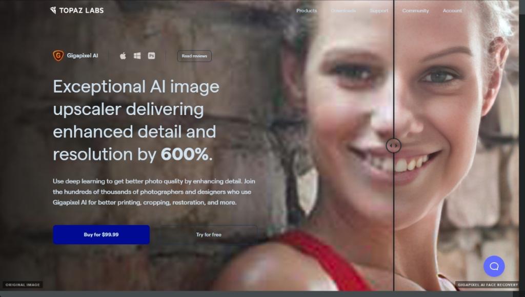 Top 10 Ai Image Upscalers Of 2025 Free Paid Options Top 10 Ai Image Upscalers Of 2025 Free Paid Options