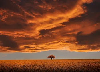 How to Fast Travel in Avowed: A Comprehensive Guide