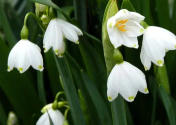 How to Break Down Equipment in Avowed: A Step-by-Step Guide