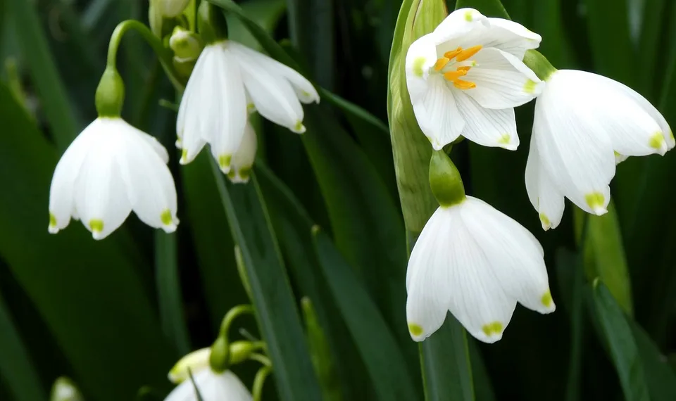 How to Break Down Equipment in Avowed: A Step-by-Step Guide