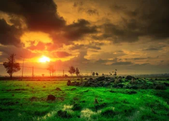 Verschiedene Arten von SSD-Festplattenlaufwerken einzeln auf Laptop-Tastatur