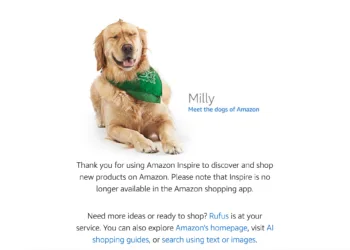 Amazon Shuts Down Its Unwanted TikTok-Like Platform