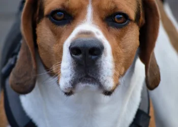 How To Get the Best Picture from Your Samsung TV: Change These Settings