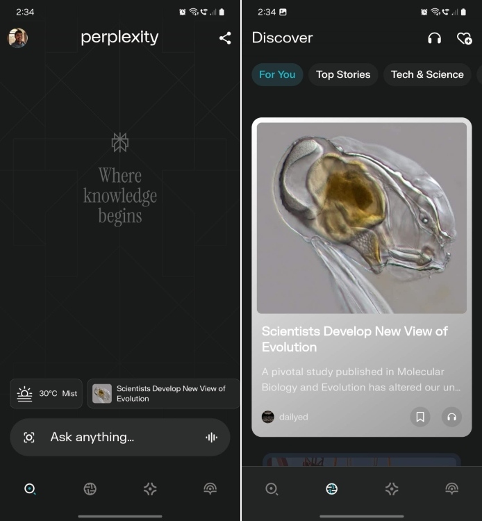 Perplexity AI App on Android