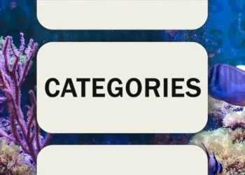 February 25, 2025: Today's Connections Tips & Solutions (Puzzle #625)