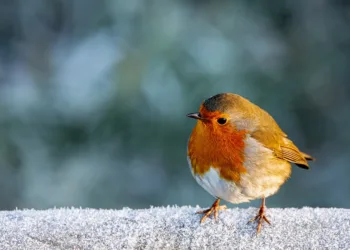 How to Join the Killing Floor 3 Closed Beta: A Step-By-Step Guide